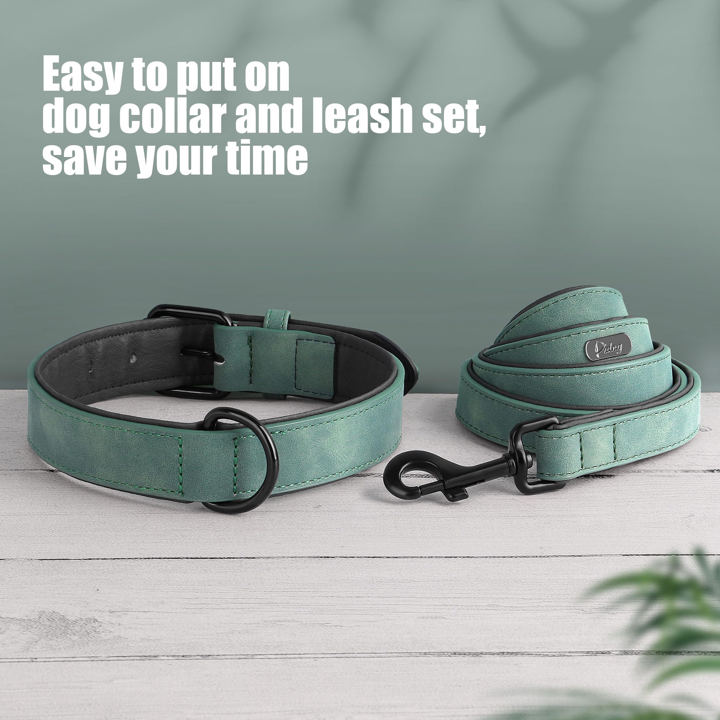 Didog multi-breed usable set image shows versatile fit across sizes.