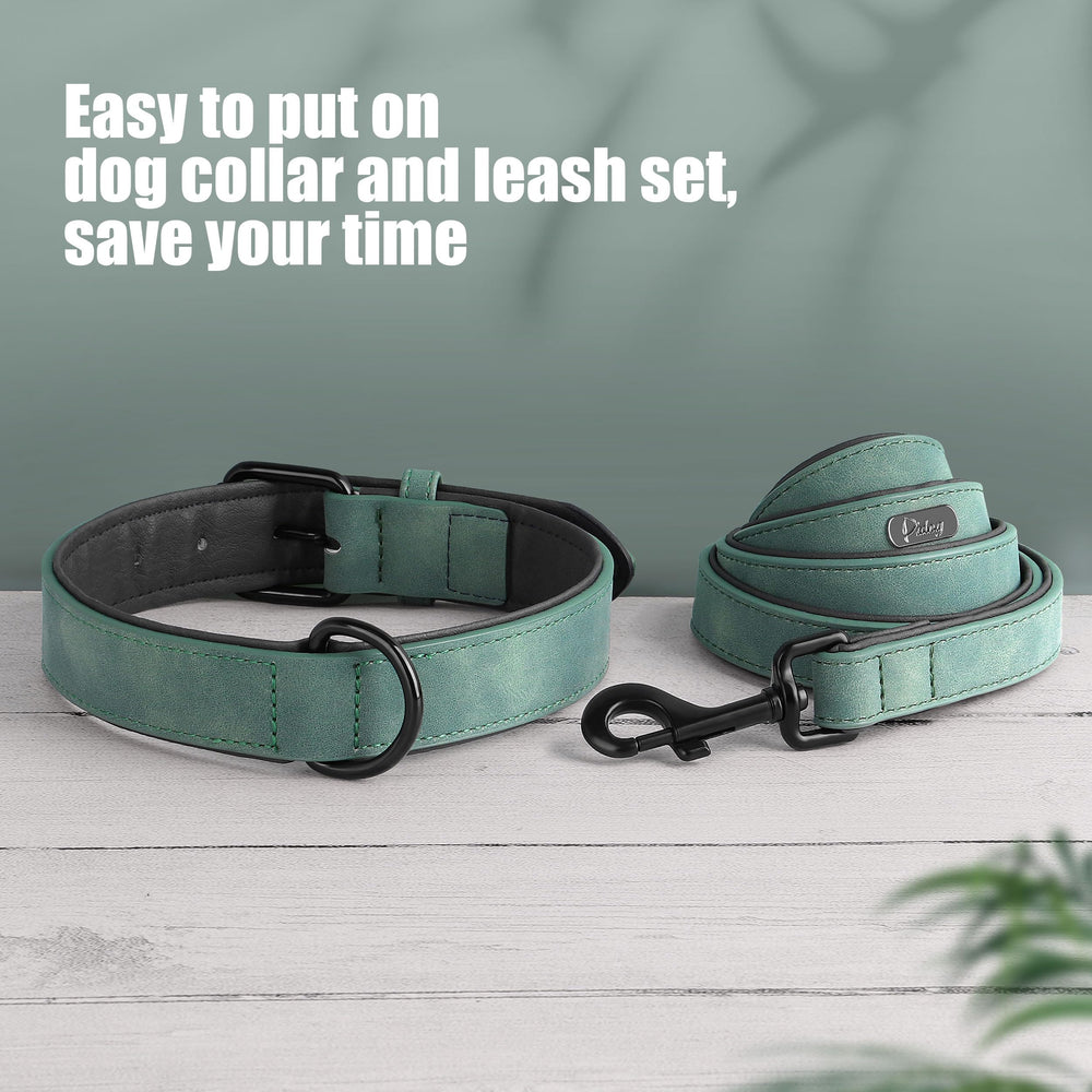 Didog multi-breed usable set image shows versatile fit across sizes.