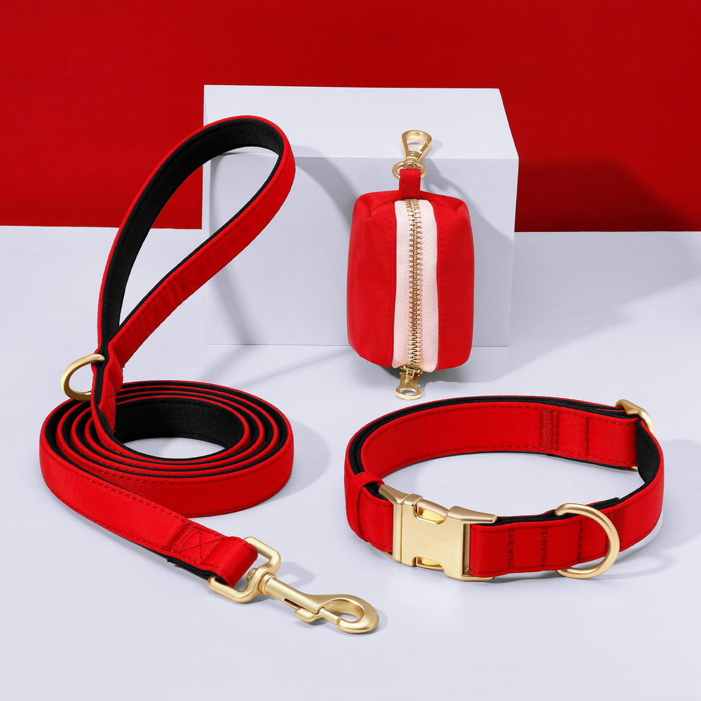 Didog neck-measure guide visuals illustrate 2-finger fit for comfort.