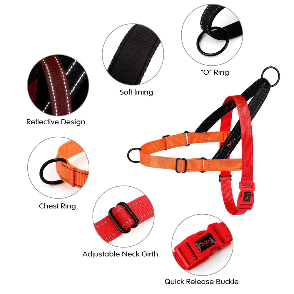 Didog no pull harness back D-ring red for casual walks