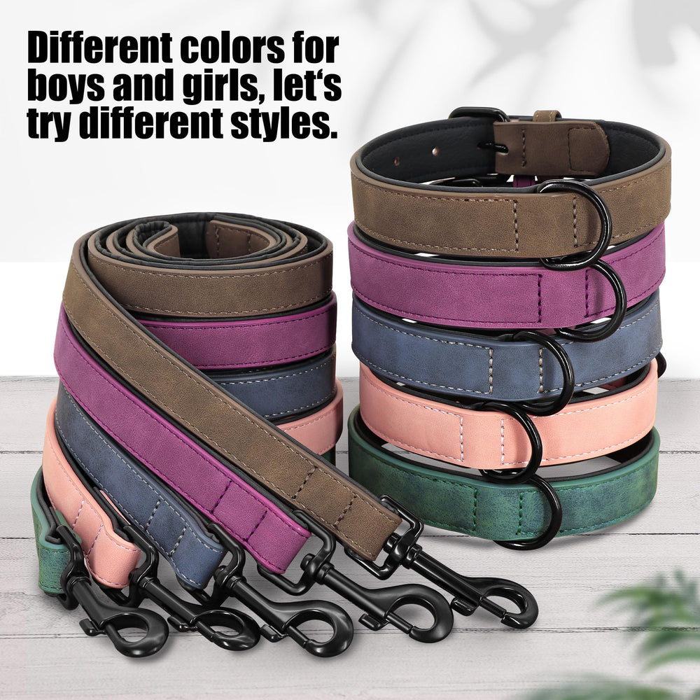 Didog padded-handle leash detail illustrates comfortable grip during walks.
