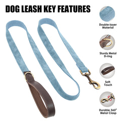 Didog leash 360° clasp demonstrates tangle-free control during training.