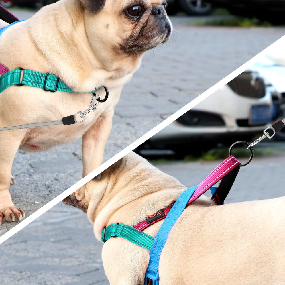 Didog Quick-fit buckle on harness for easy on/off