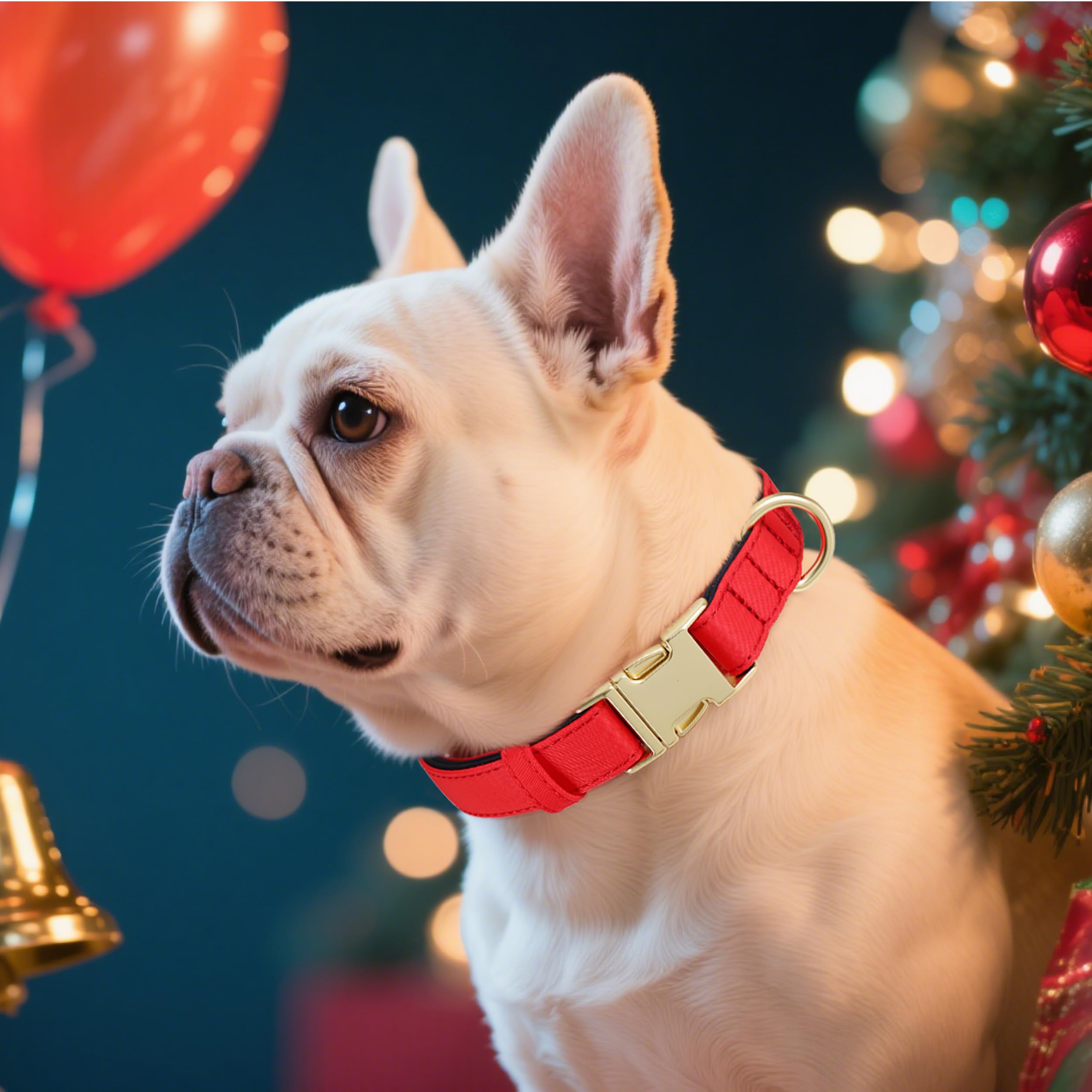 Didog quick-release buckle close-up demonstrates secure release for easy on/off during walks.