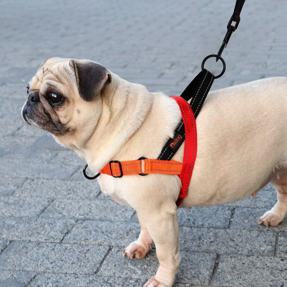 Didog Reflective strips for visibility during night walks