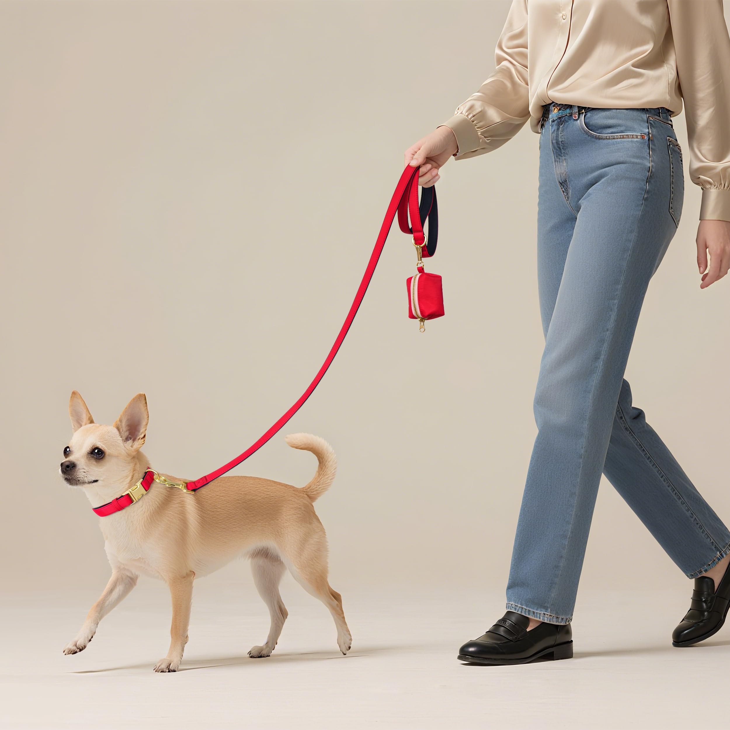 Didog small-dog walking scene shows lightweight everyday usability for quick strolls.