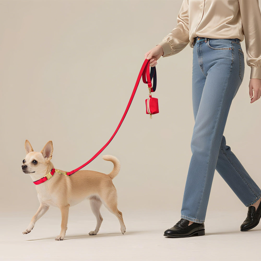 Didog small-dog walking scene shows lightweight everyday usability for quick strolls.