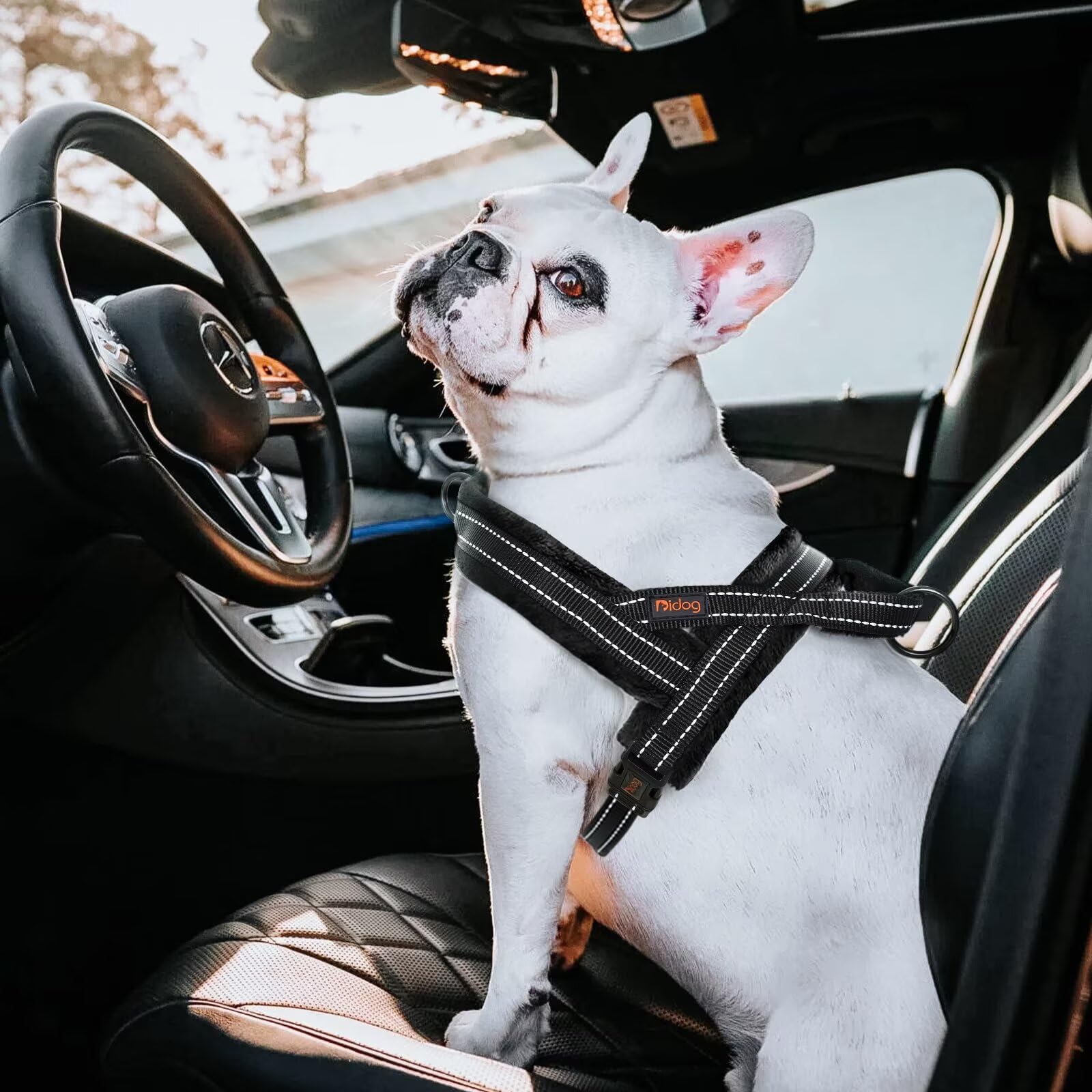 Didog padded harness back view showing neck padding for comfortable wear
