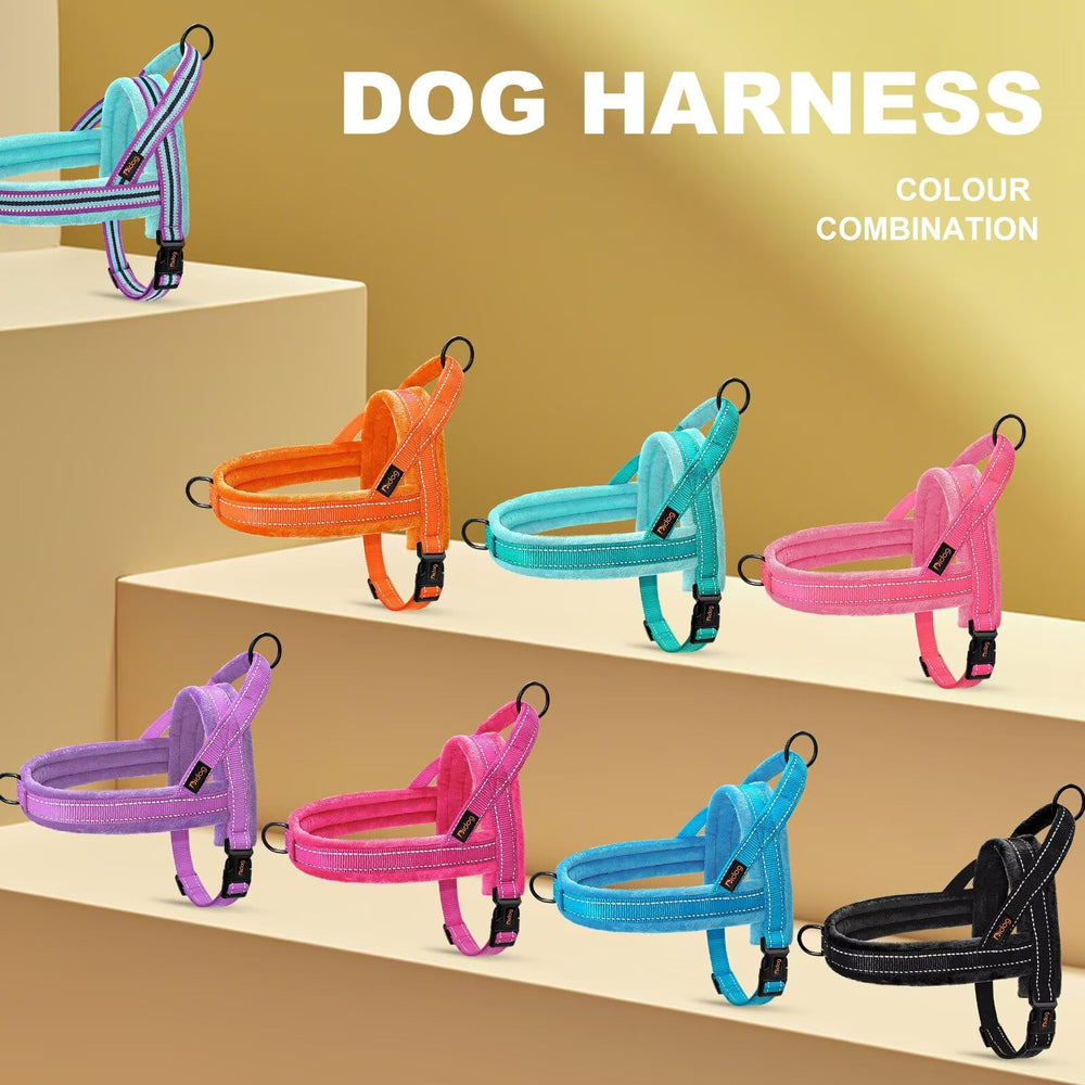 Didog black flannel harness on dog during dusk walk