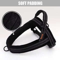 Didog quick-fit buckle close-up shows no-pull design benefit