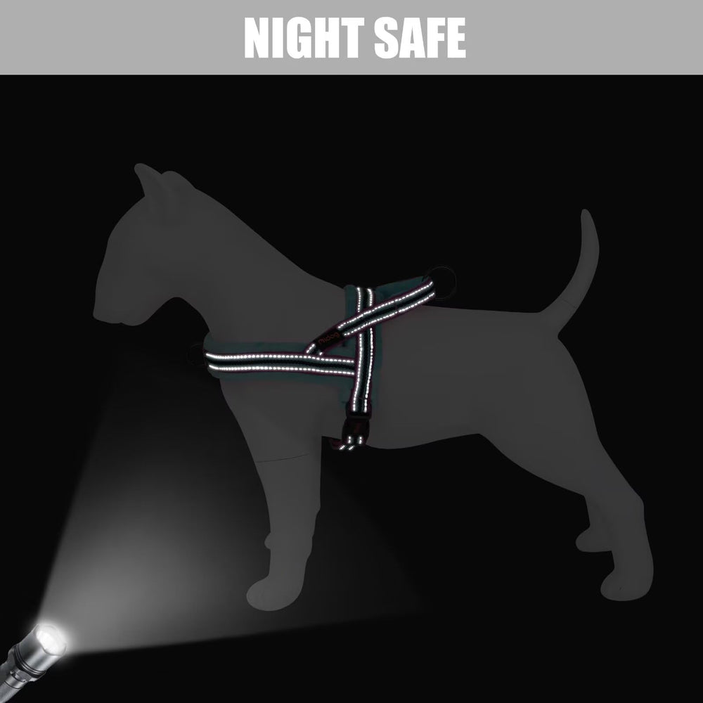 Didog chest and back padding ensuring comfortable wear during movement