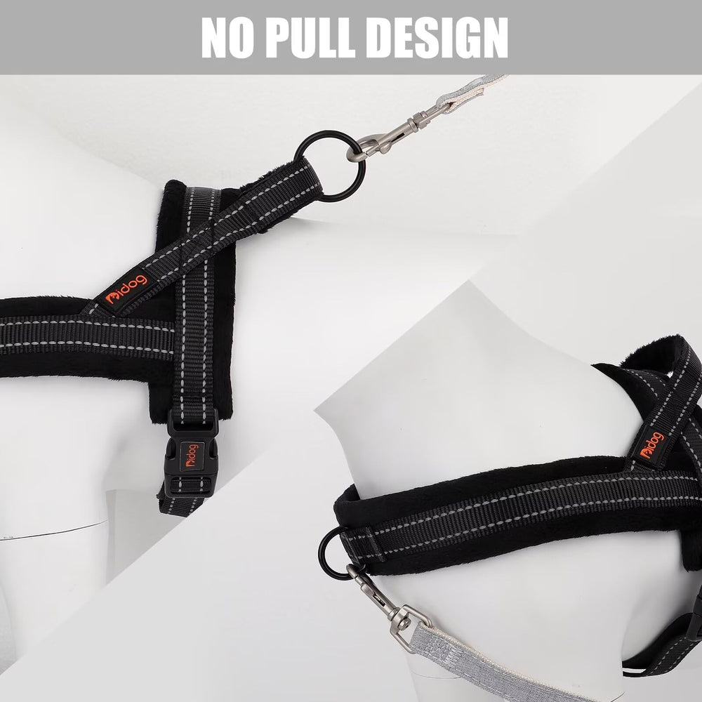 Didog front D-ring welded for secure leash control during training