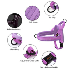 Didog harness front D-ring for no-pull control during walks