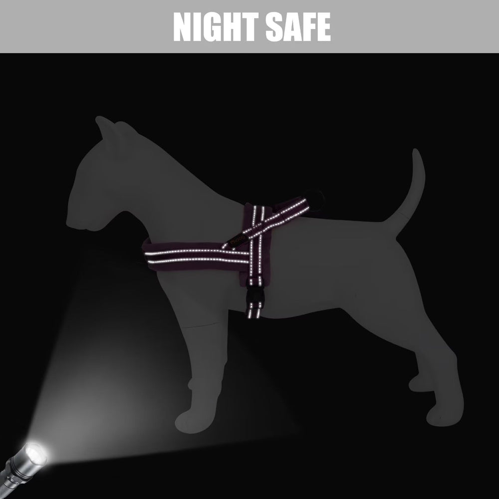 Didog harness lightweight construction for easy training