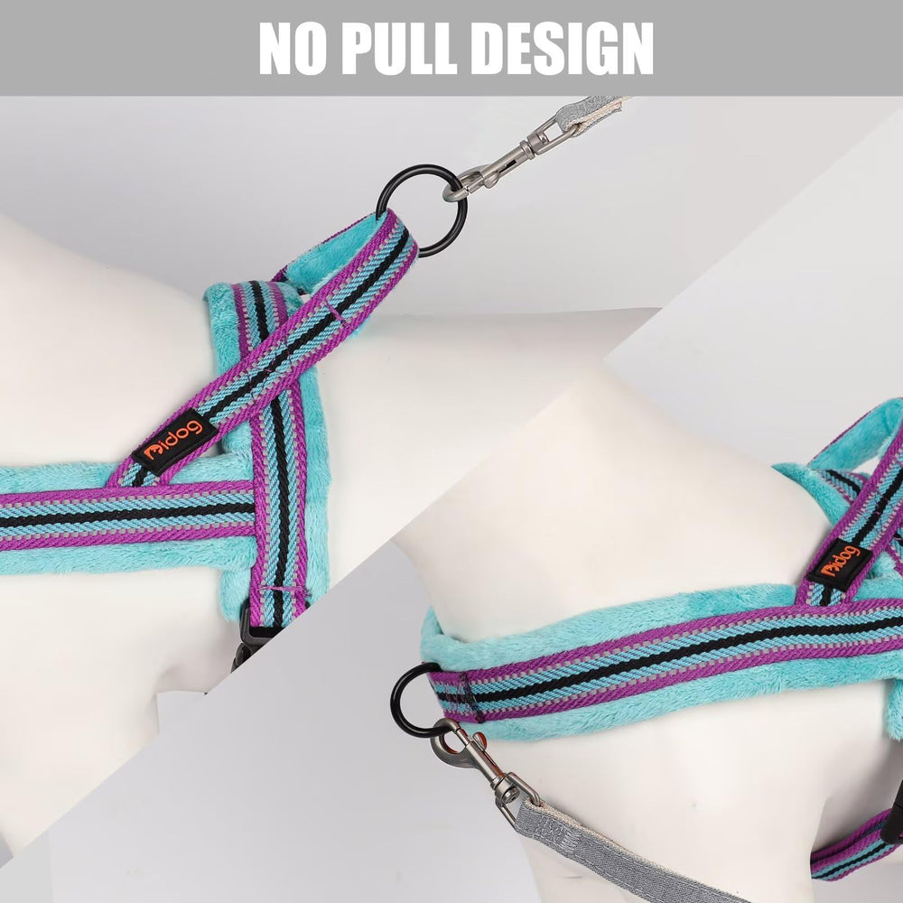 Didog nylon strap and buckle highlighting durability and quick drying