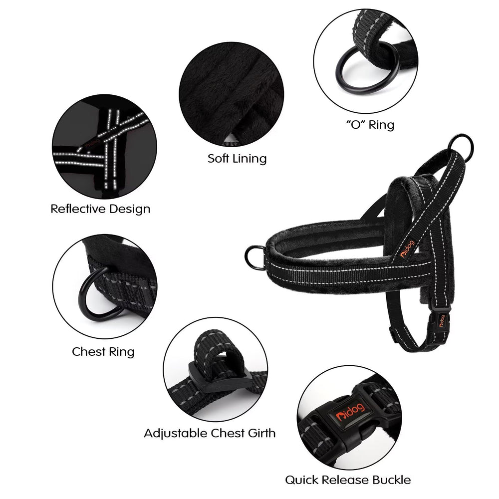 Didog harness side view highlighting reflective lines for safe night walks