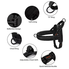 Didog harness side view highlighting reflective lines for safe night walks