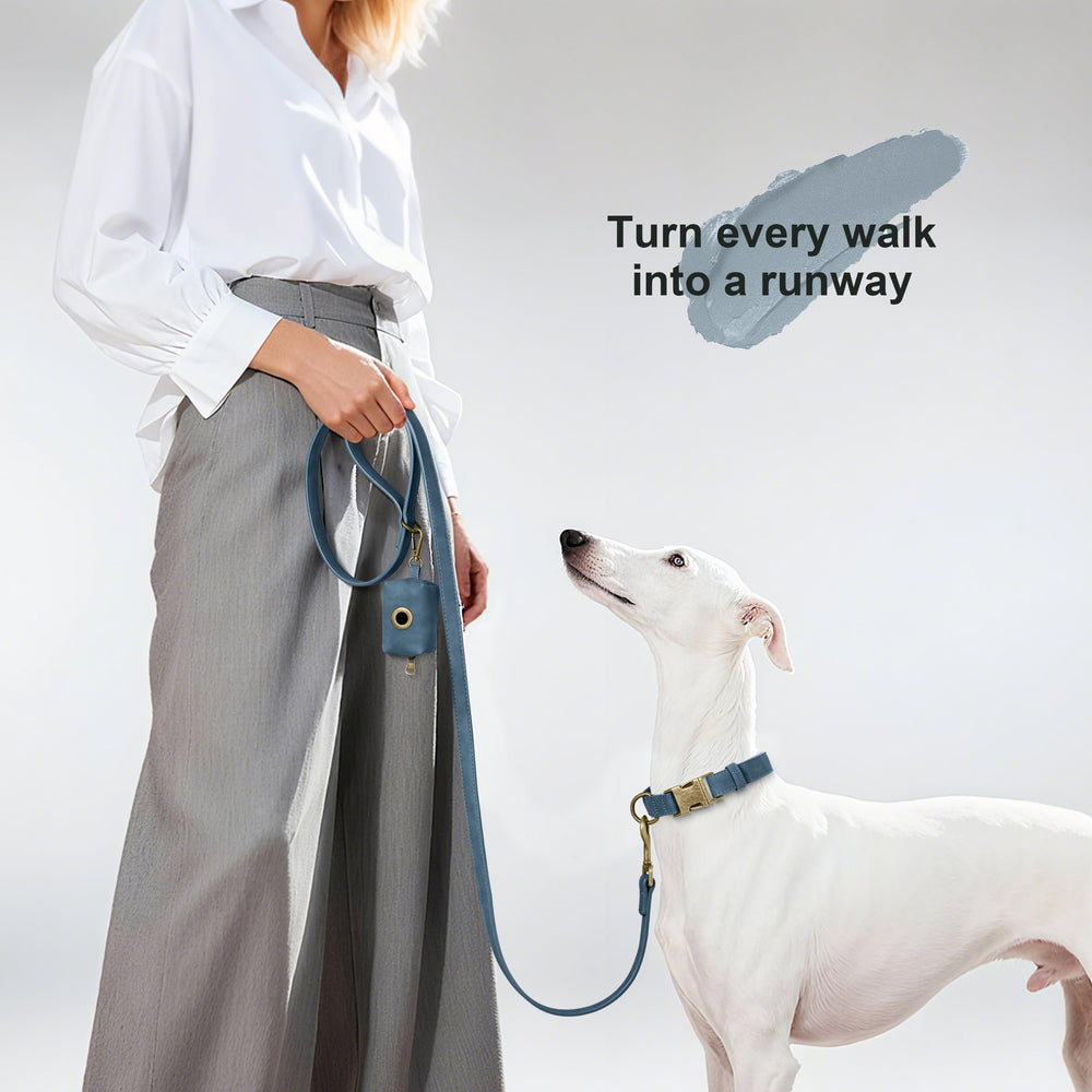 Didog soft leather dog collar D ring leash attachment enables secure walking