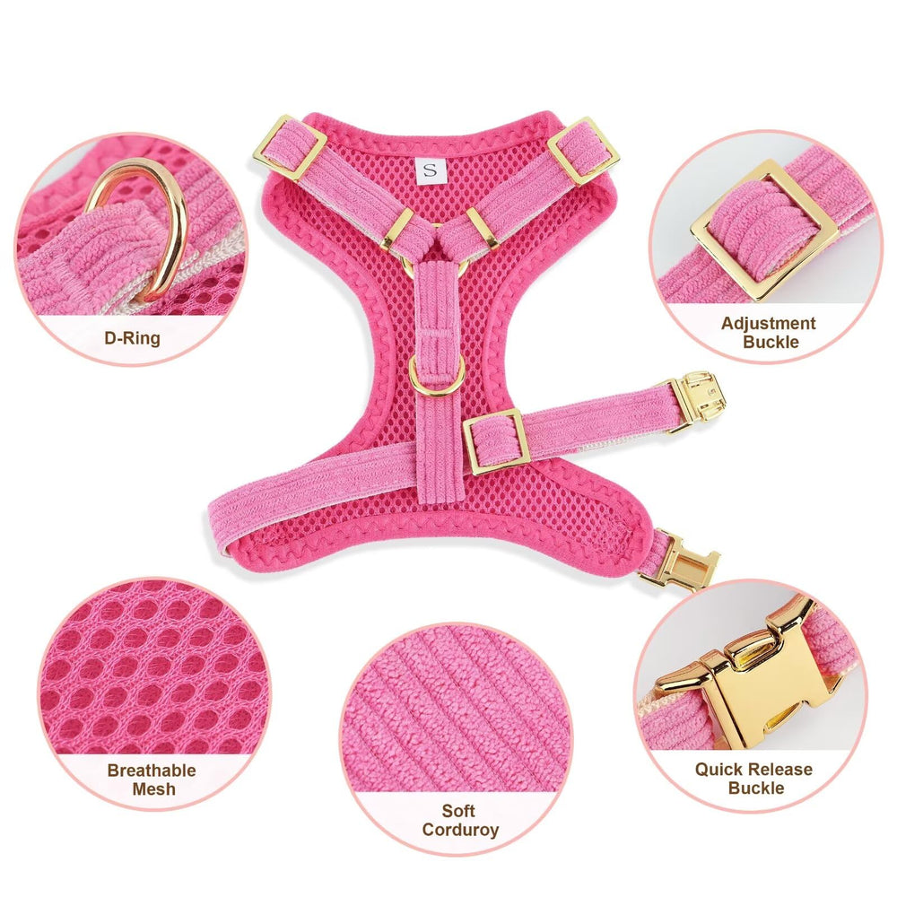 Didog plush velvet and air-mesh lining for soft comfort.