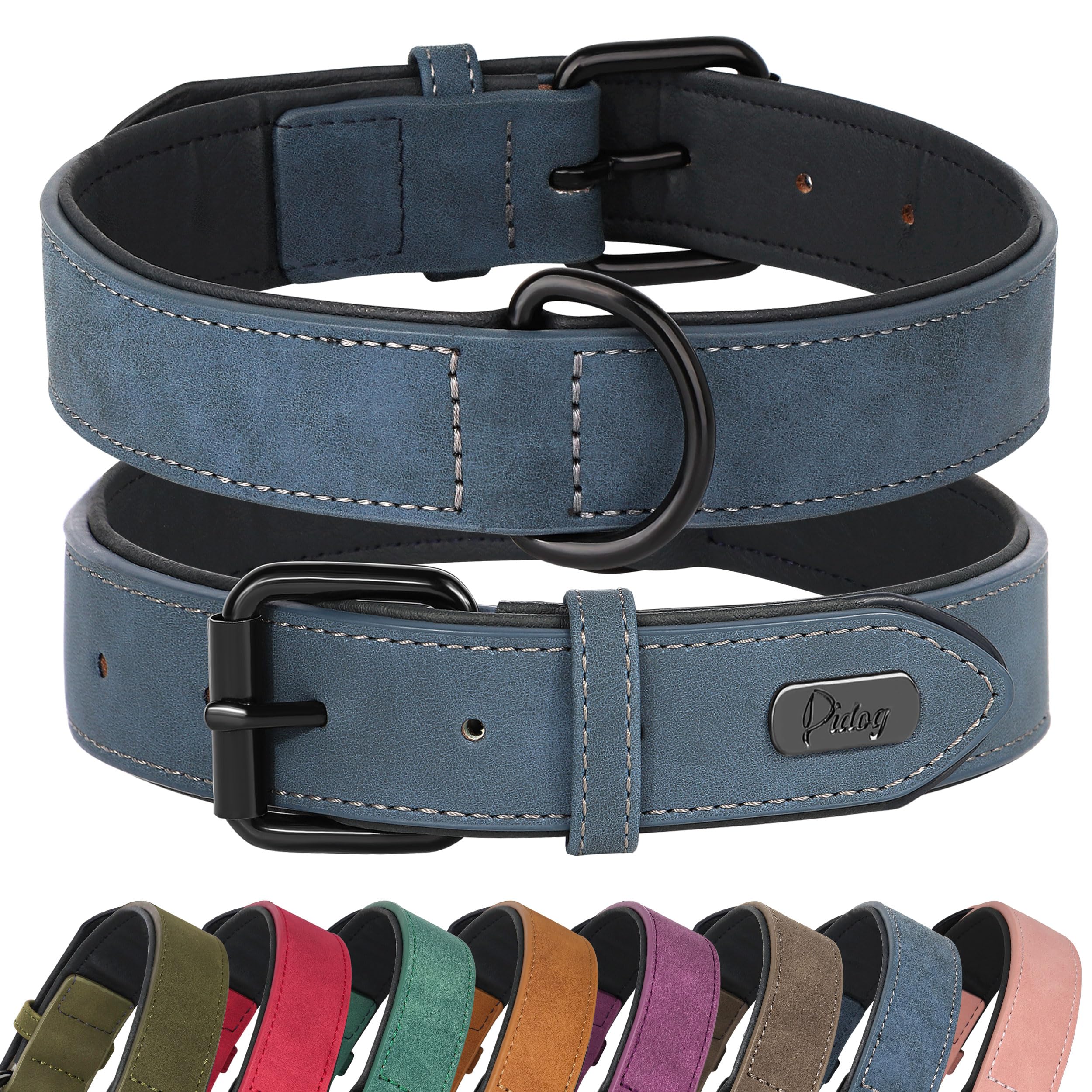 Didog soft-padded blue collar front view for comfortable daily walks