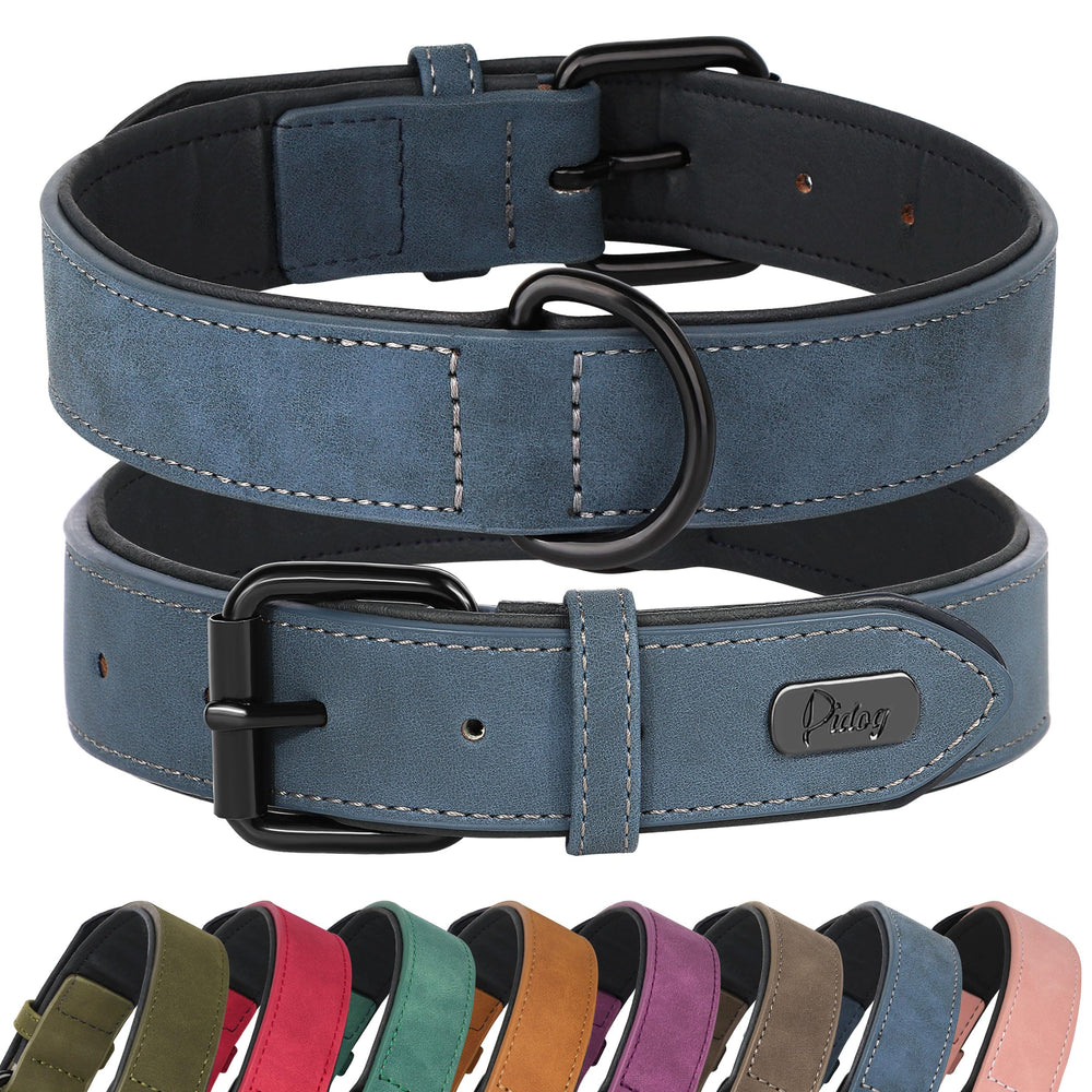 Didog soft-padded blue collar front view for comfortable daily walks
