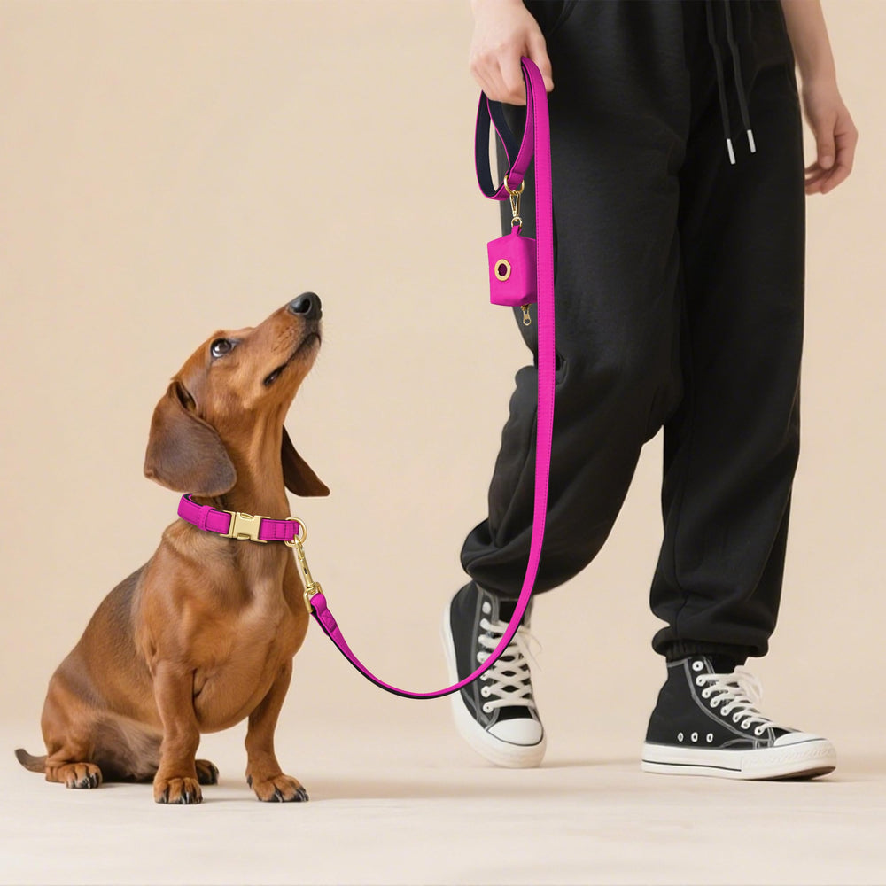 Didog neck size guidance shows 2 fingers space for comfortable fit