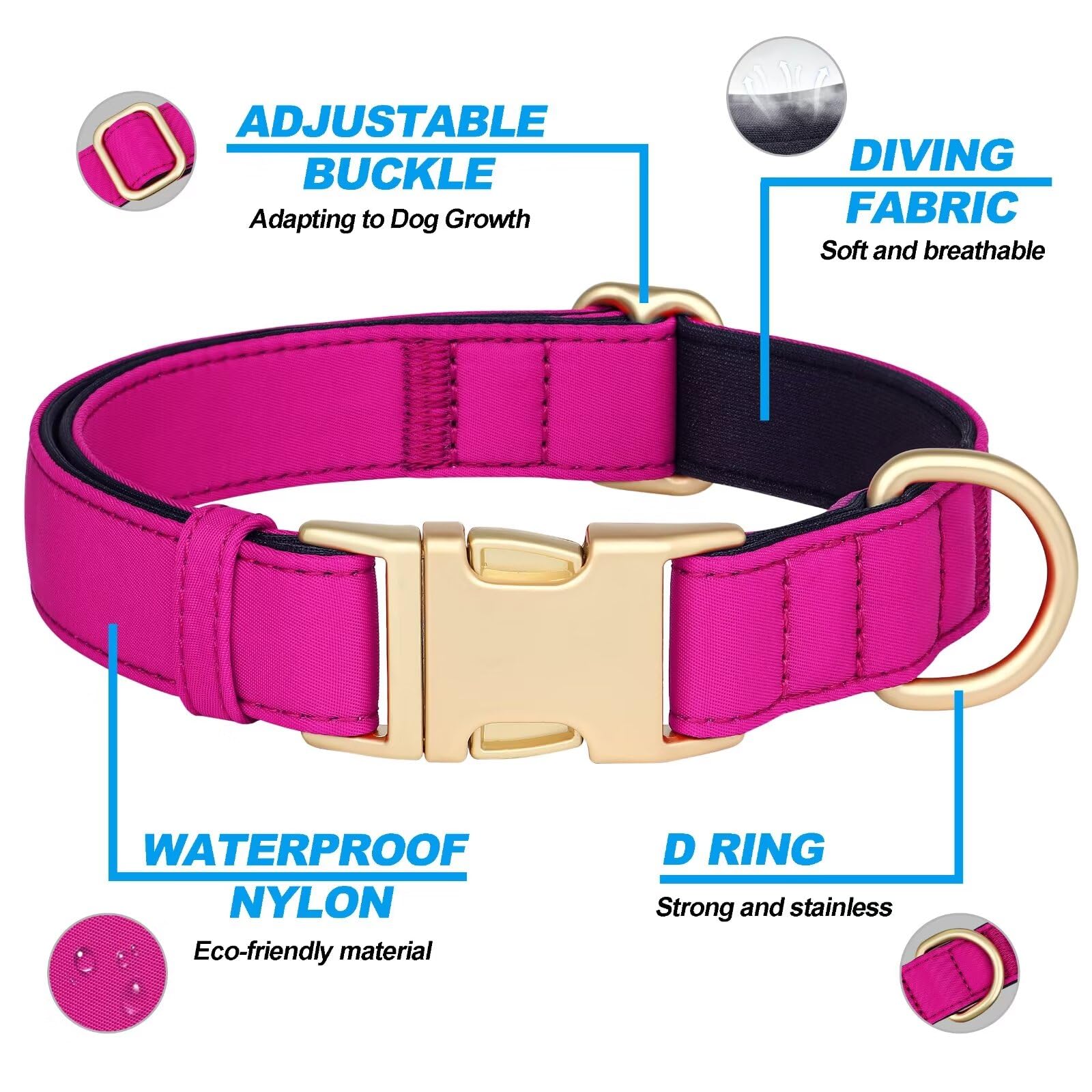 Didog medium size collar fits 10-30 lb dogs for daily wear