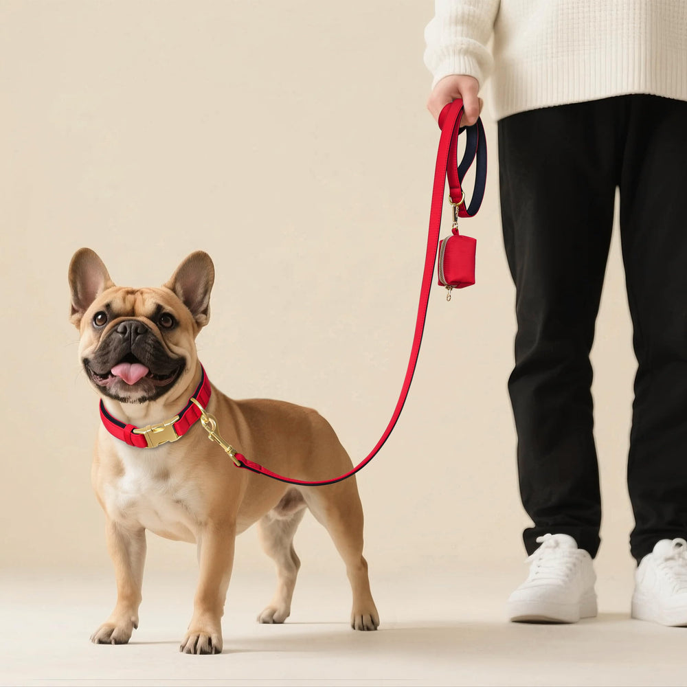 Didog recyclable nylon collar showcases eco-friendly materials with durable performance