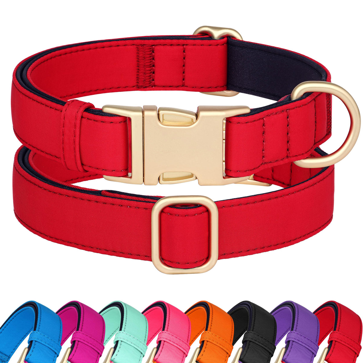 Didog soft padded collar small red buckle close-up for comfortable daily walks.