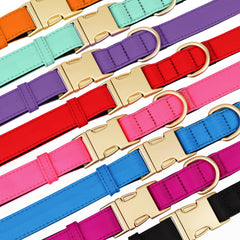 Didog soft padded collar small red color close-up highlights snug fit for tiny dogs.