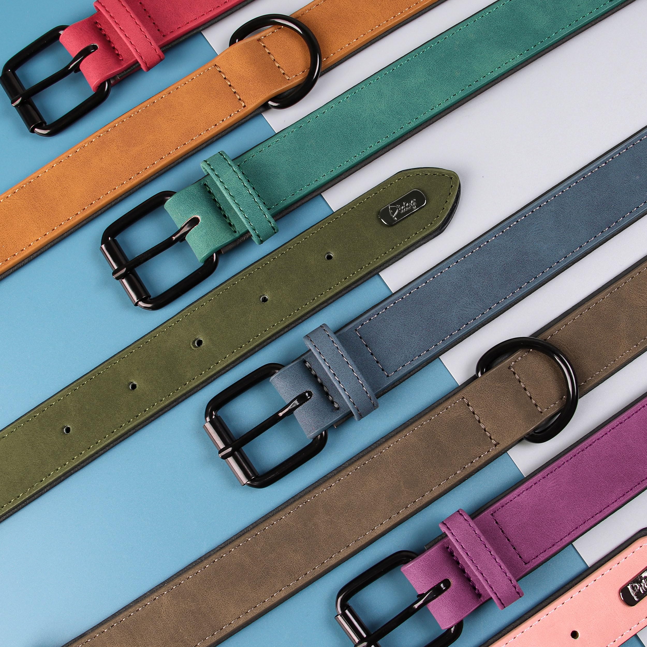 Didog adjustable buckle area demonstrates secure five-hole fit