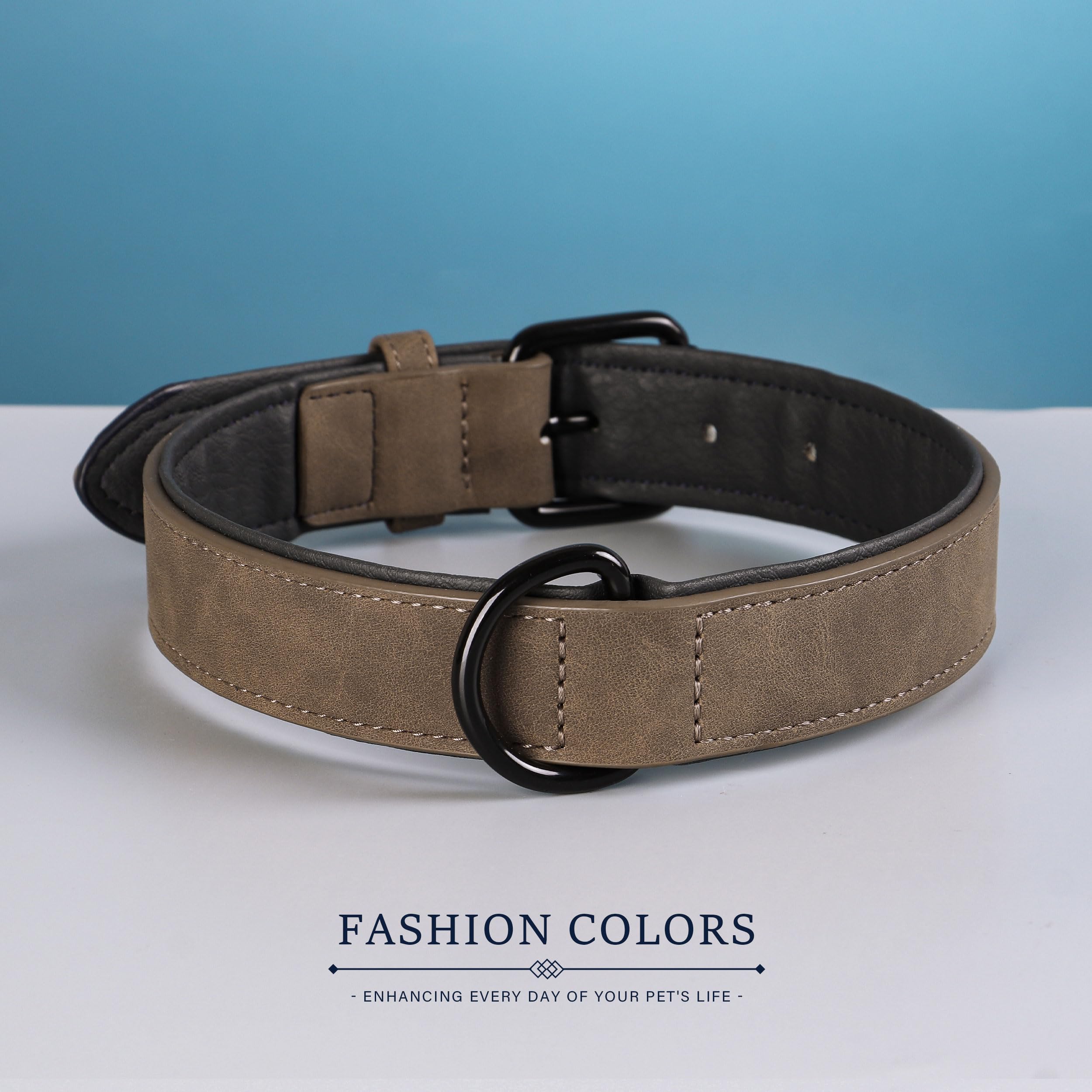 Didog soft-padded collar worn on dog during a walk