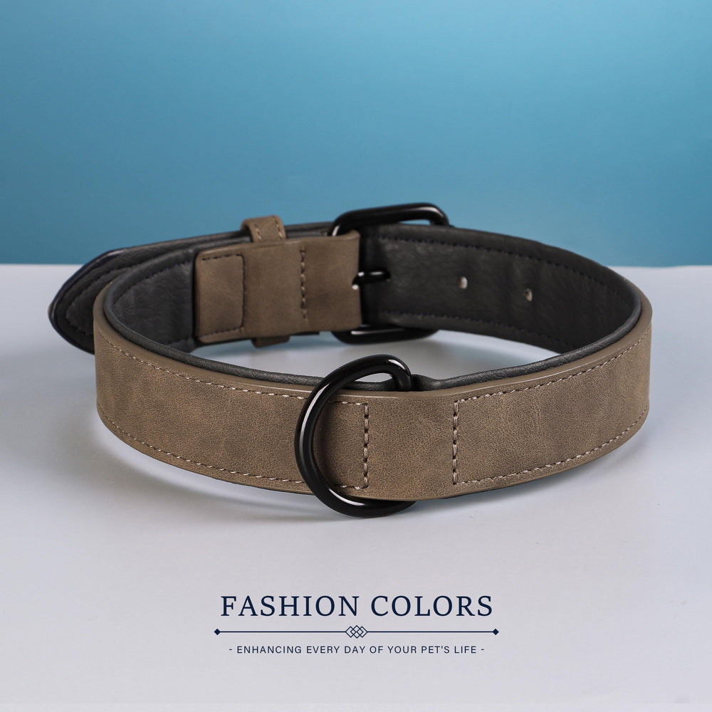 Didog soft-padded collar worn on dog during a walk