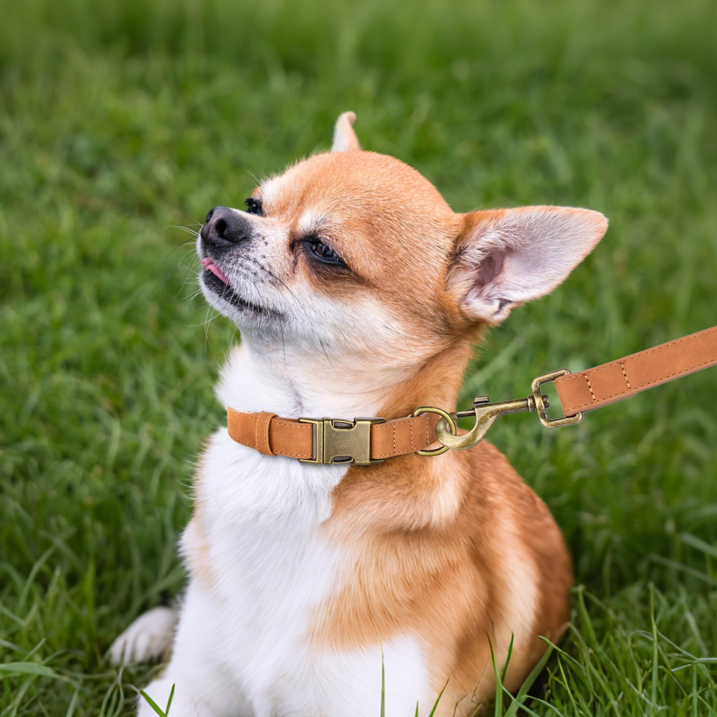 Didog Soft PU Leather Dog Collar adjustable size ensures comfortable fit.
