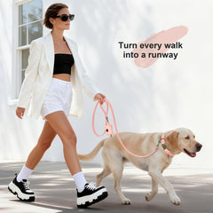 Didog quick-release collar allows fast on-off during daily walks.