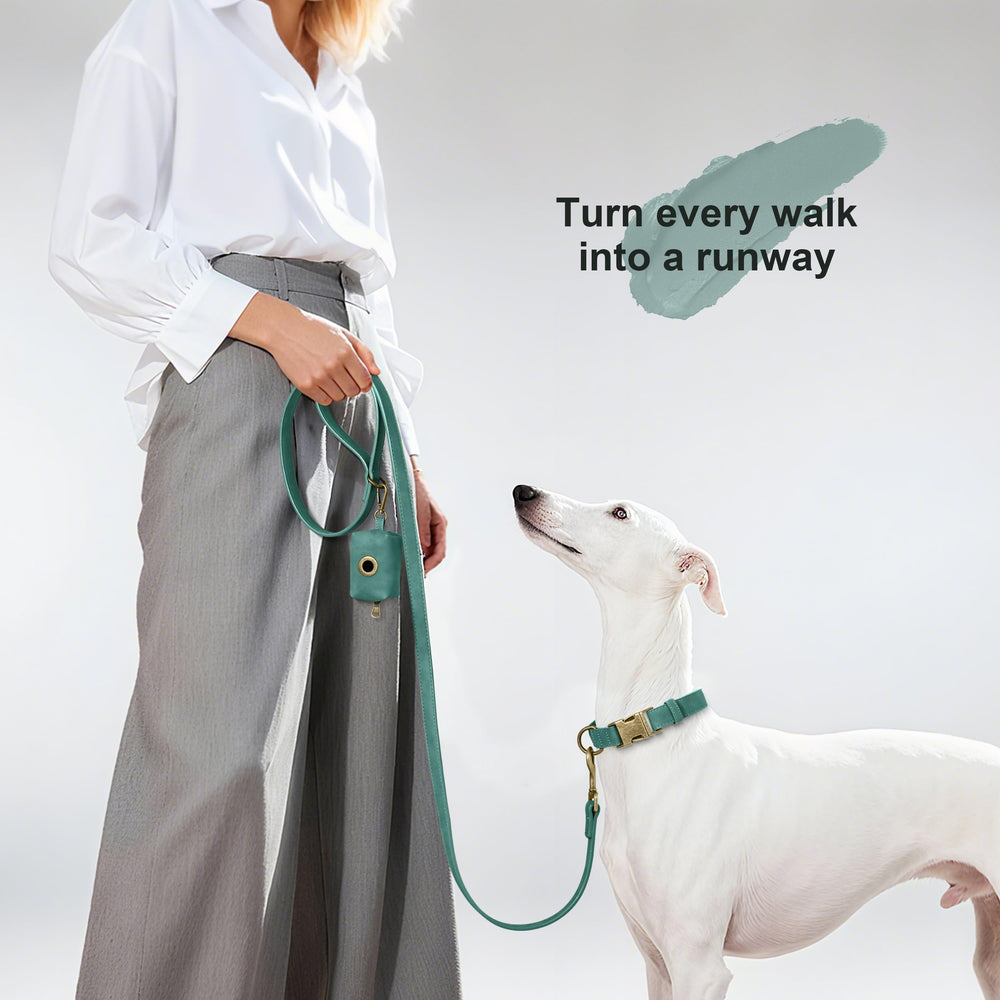 Didog adjustable collar showing size range for medium dogs 13-21 inches