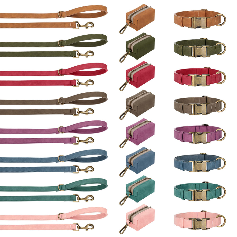 Didog brown collar with D-ring leash-ready for daily walking
