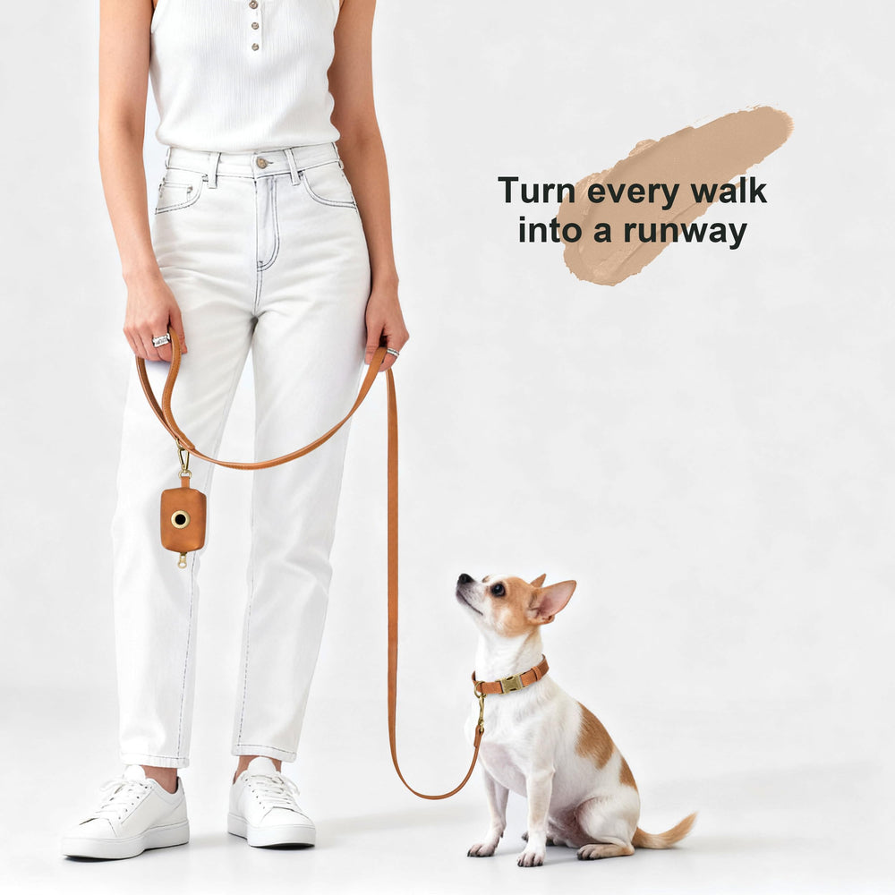 Didog Soft PU Leather Dog Collar D-ring leash attachment for secure daily walking.