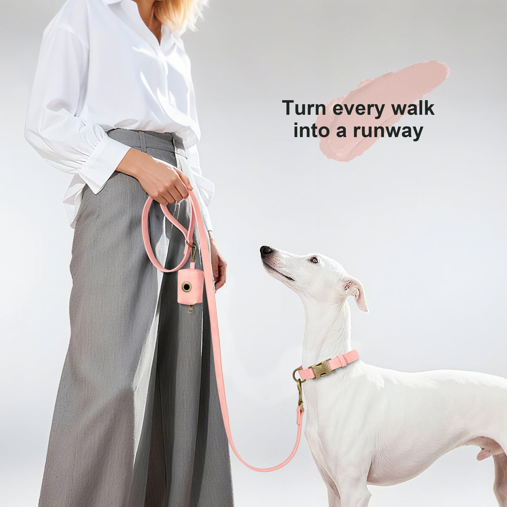 Didog collar with D-ring for leash attachment during daily walks.