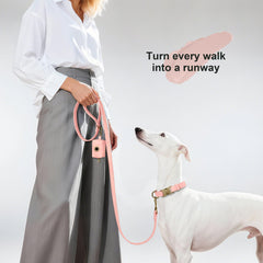 Didog collar with D-ring for leash attachment during daily walks.