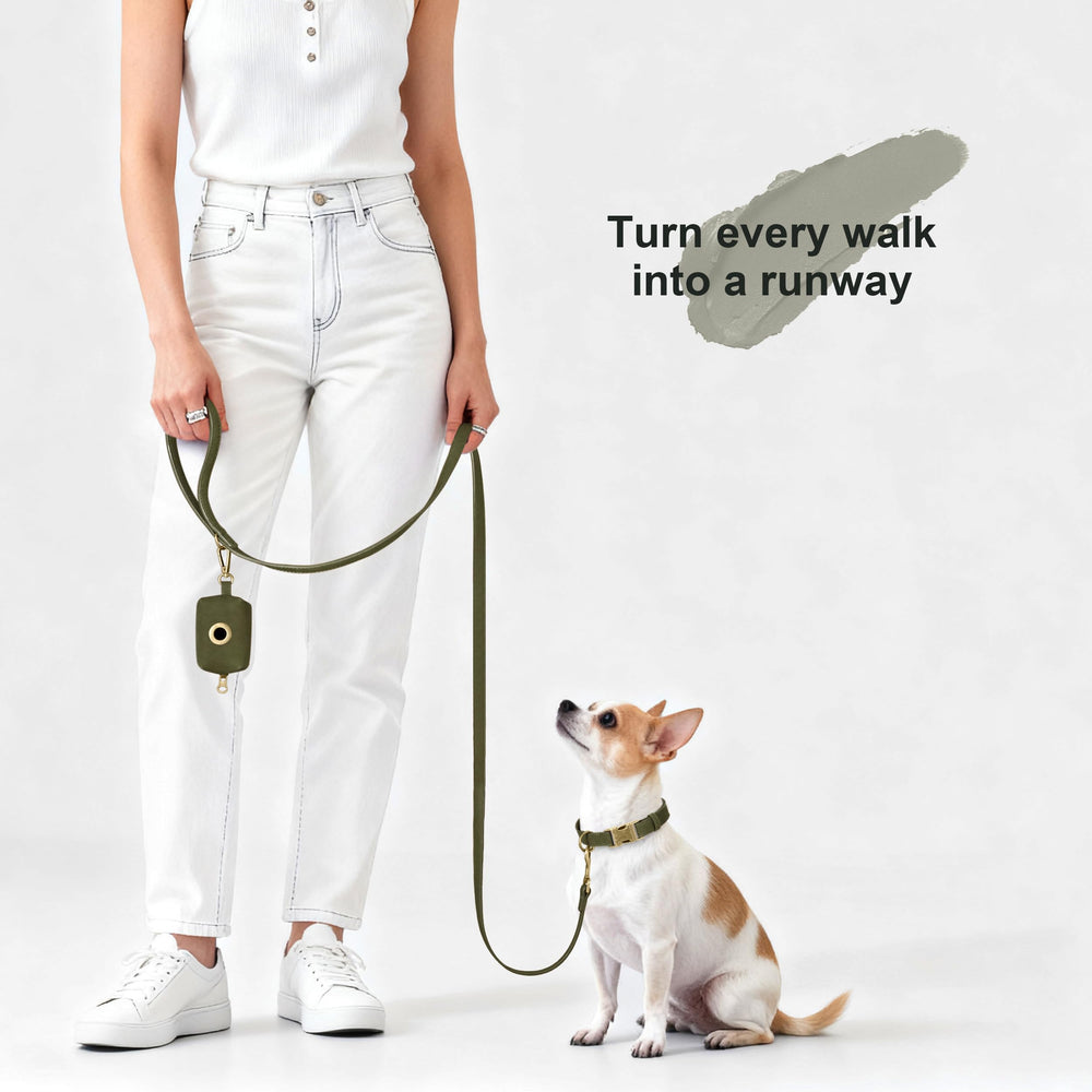 Didog soft PU leather dog collar wipe-clean surface—easy maintenance after outdoor adventures.