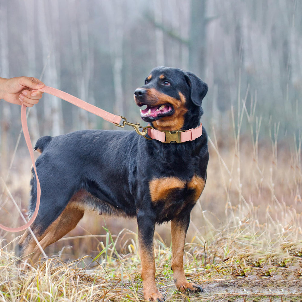 Didog adjustable collar features easy-clean PU material ideal for active pets.