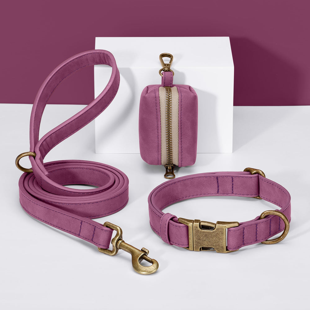 Didog easy-clean PU leather collar resists dirt during active play.