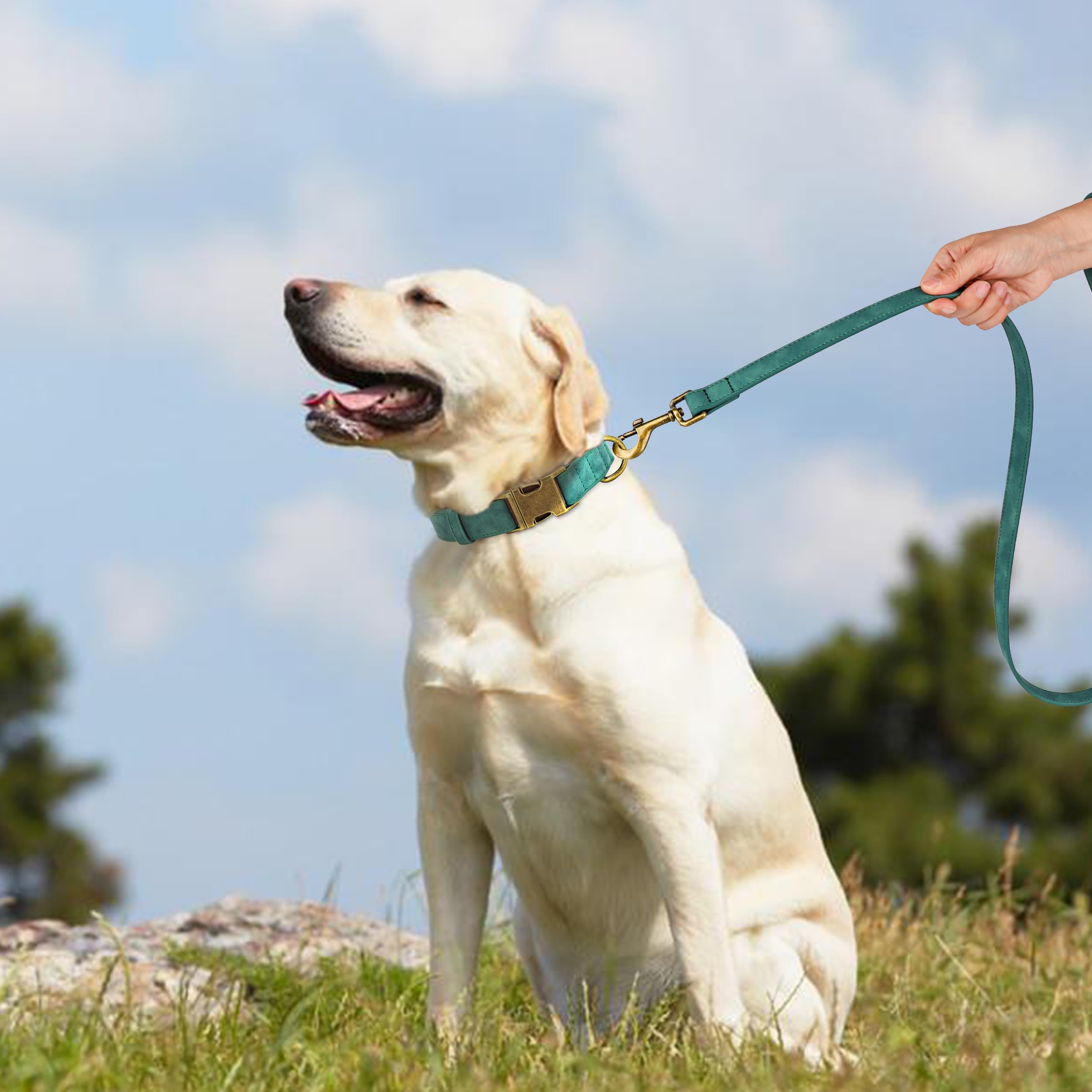 Didog Soft PU Leather Dog Collar green adjustable strap for a secure fit