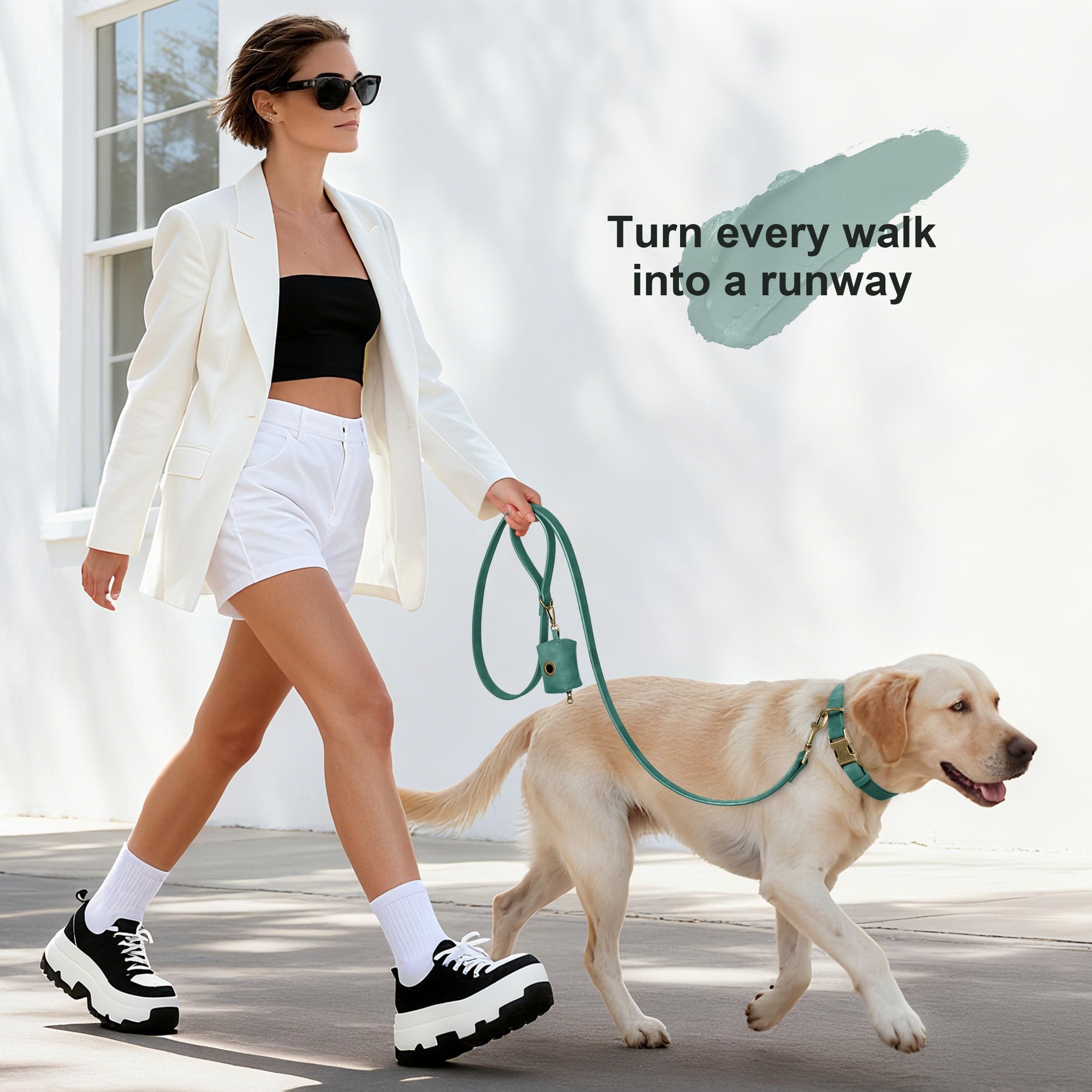 Didog Soft PU Leather Dog Collar green D-ring and leash attachment ready for walks
