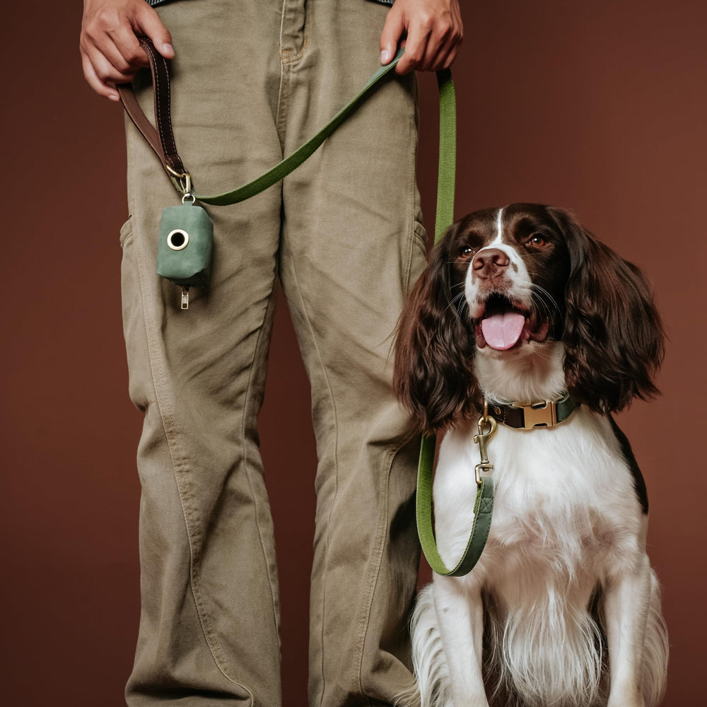 Didog green collar D-ring closeup underlines safe leash attachment and secure control.
