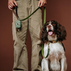 Didog green collar D-ring closeup underlines safe leash attachment and secure control.