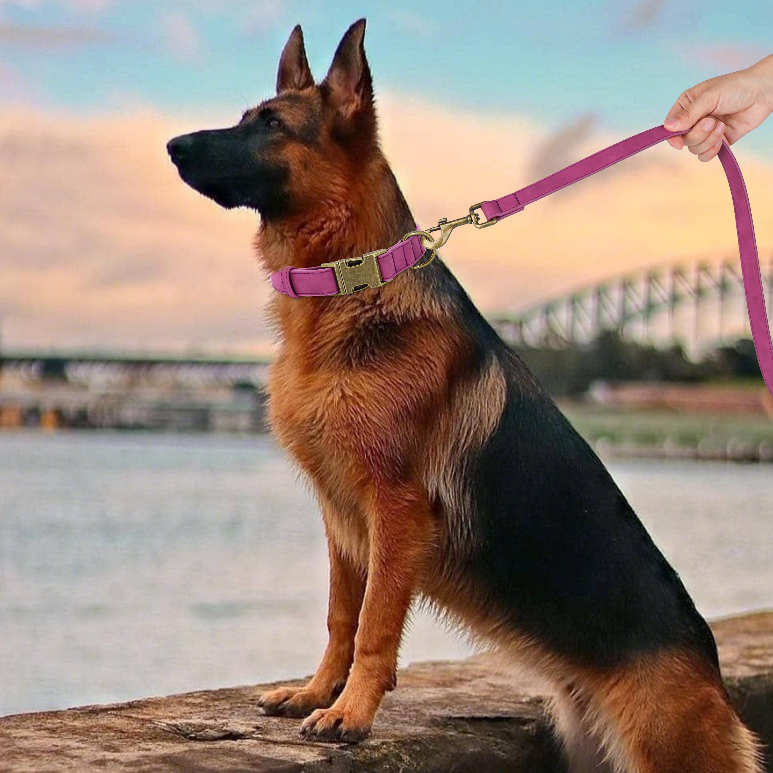 Didog soft PU leather collar highlights skin-friendly material for all-day wear.
