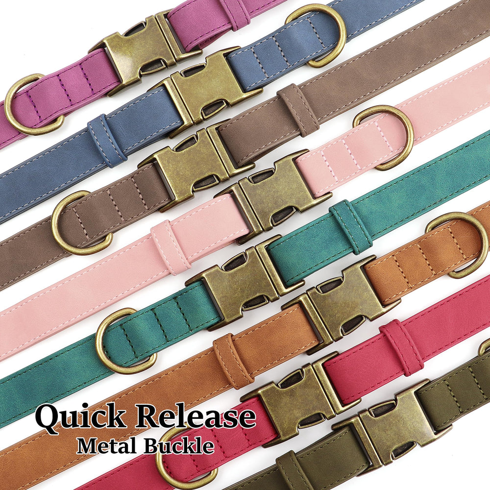 Didog Soft PU Leather Dog Collar small-dog neck-strap design suitable for daily outings.