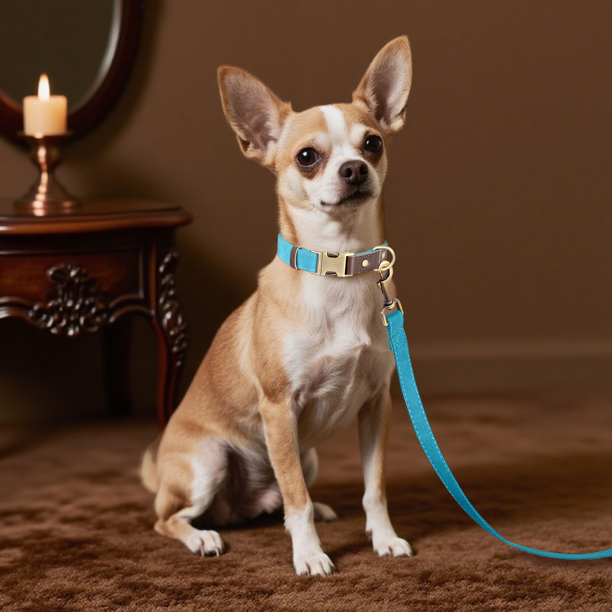 Didog nylon-lining closeup emphasizes skin-friendly comfort with a smooth, gentle feel